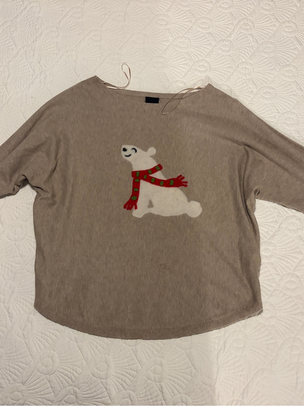 Aaeda Beige Holiday Sweater with Polar Bear Motif